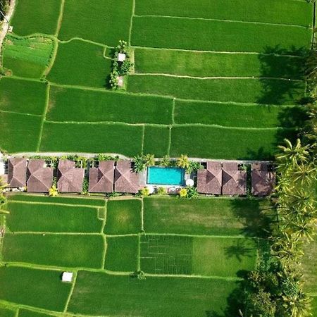 Intan Villa & Suite Ubud Dış mekan fotoğraf