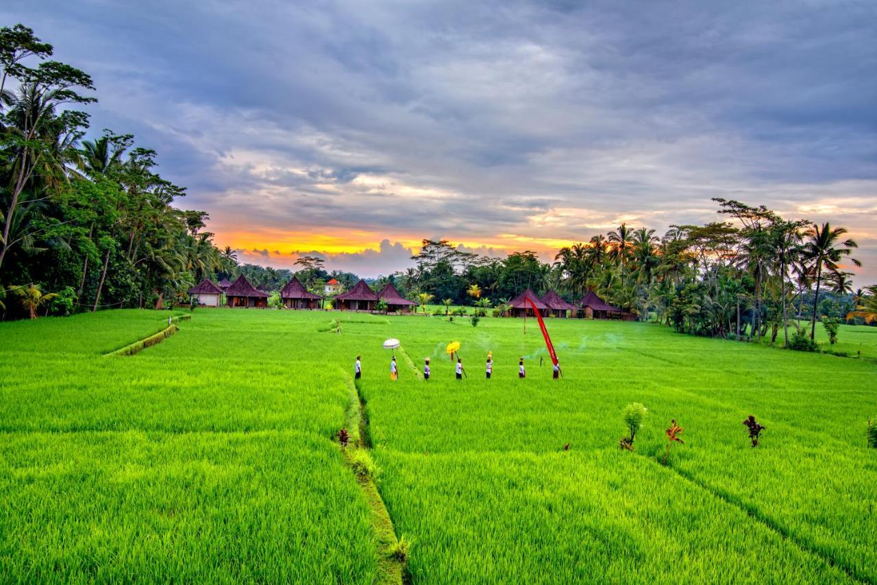 Intan Villa & Suite Ubud Dış mekan fotoğraf