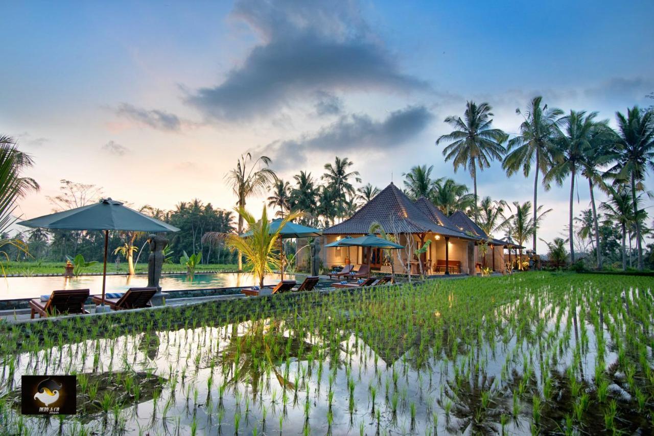 Intan Villa & Suite Ubud Dış mekan fotoğraf