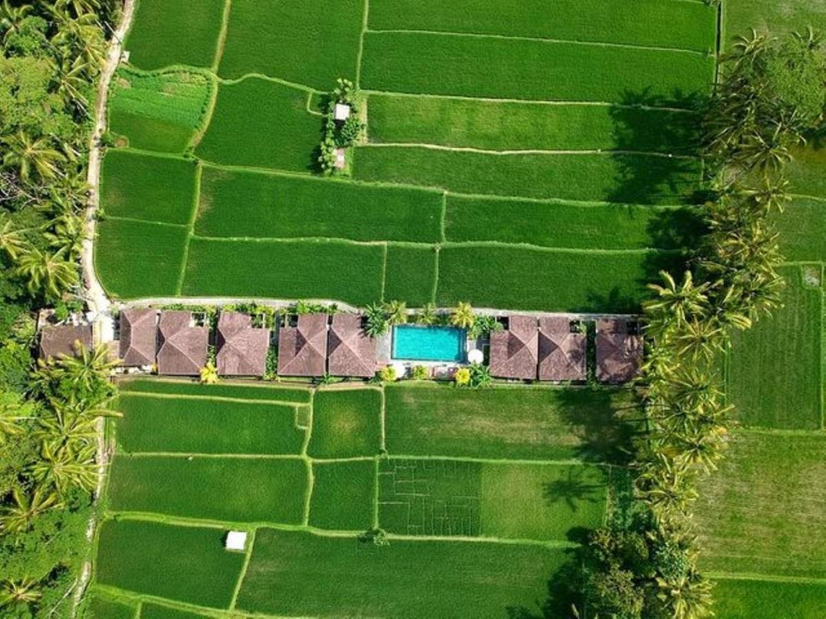 Intan Villa & Suite Ubud Dış mekan fotoğraf